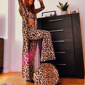 Shania Twain costume